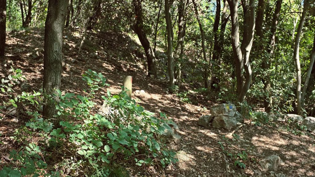  Monte Maddalena