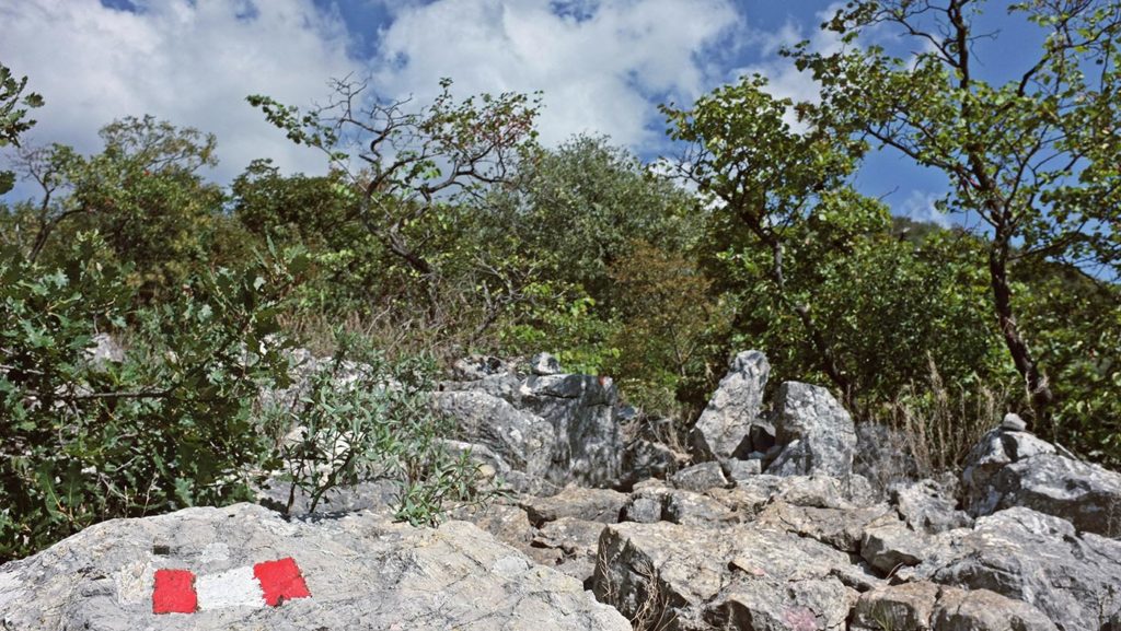  Monte Maddalena