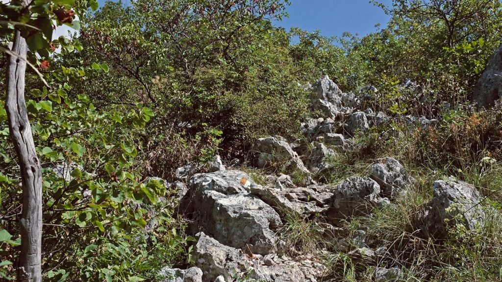  Monte Maddalena