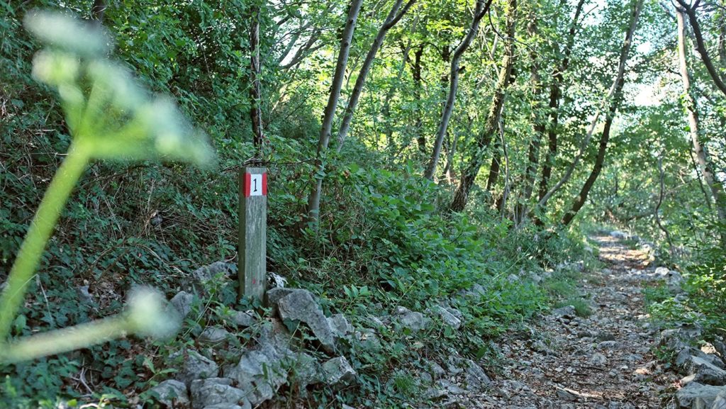  Monte Maddalena