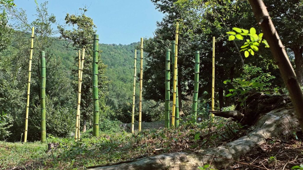  Monte Maddalena