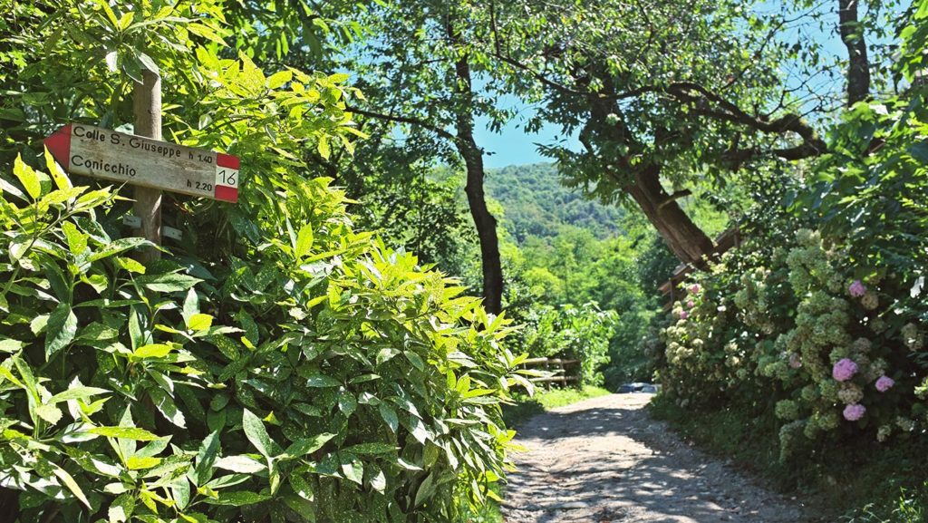  Monte Maddalena
