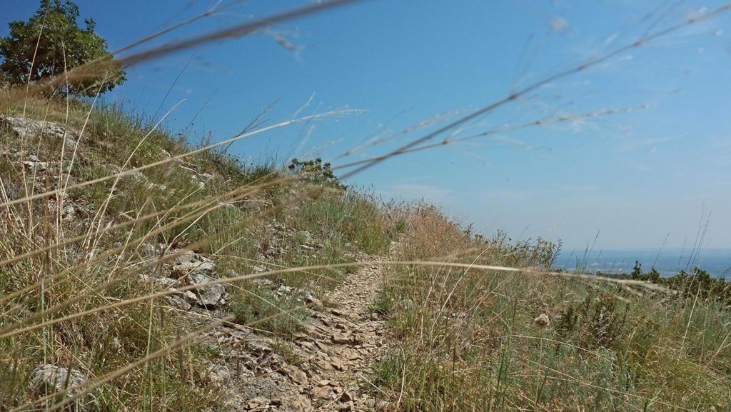  Monte Maddalena