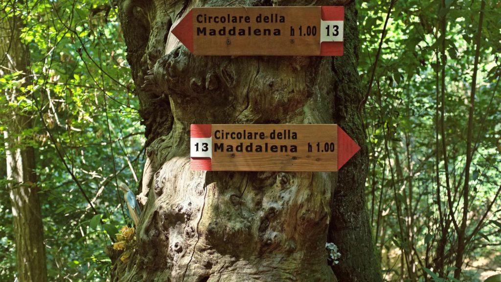  Monte Maddalena