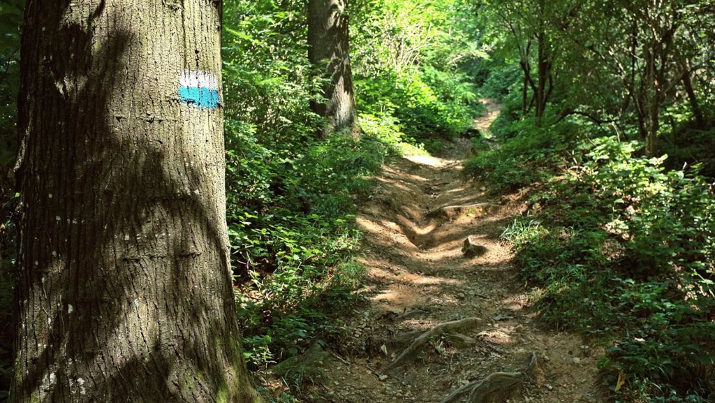 Monte Maddalena
