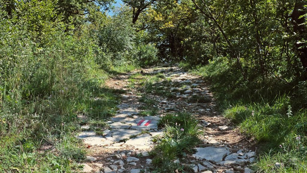  Monte Maddalena