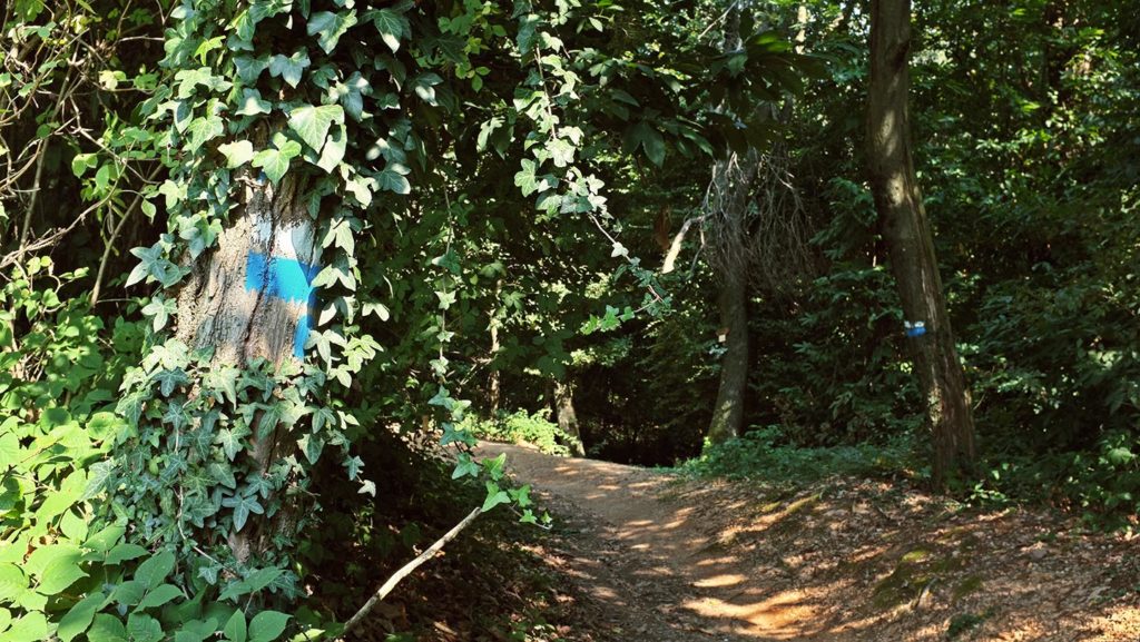  Monte Maddalena