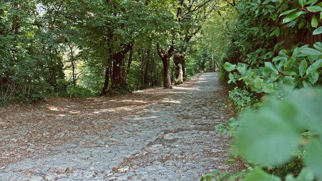  Monte Maddalena
