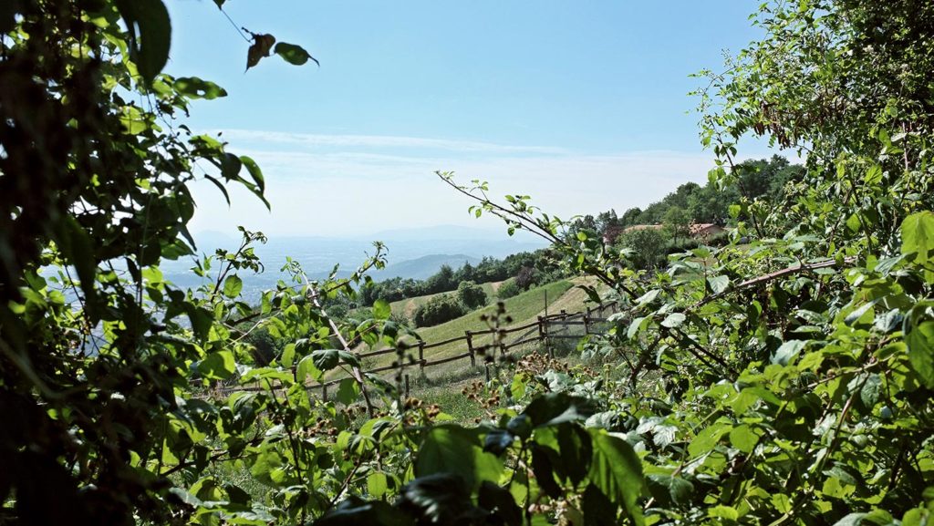  Monte Maddalena