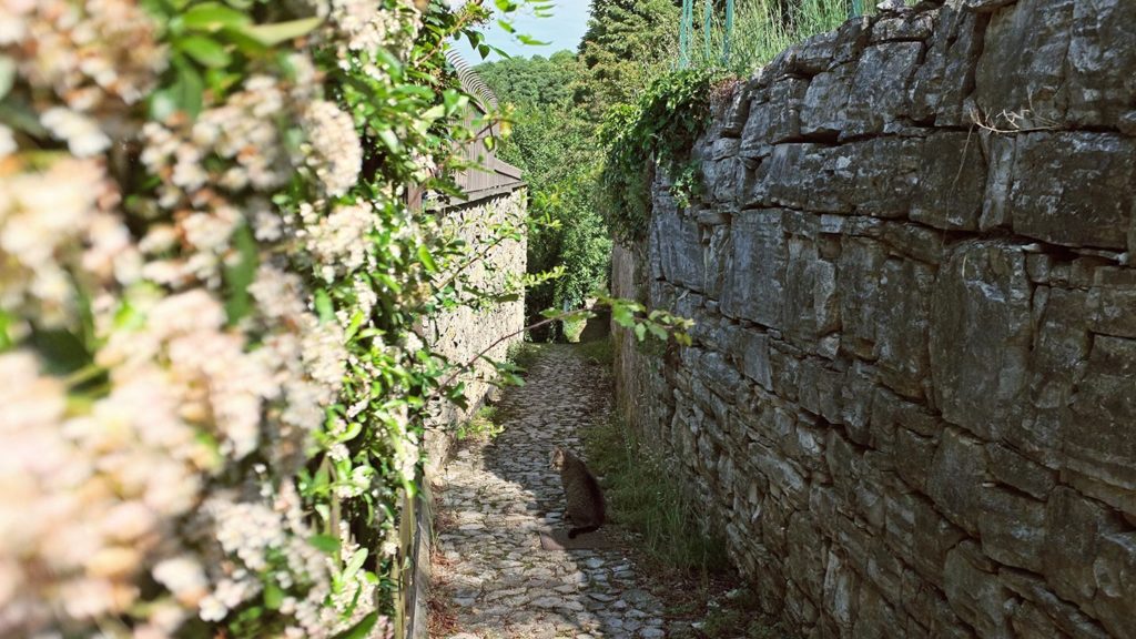  Monte Maddalena