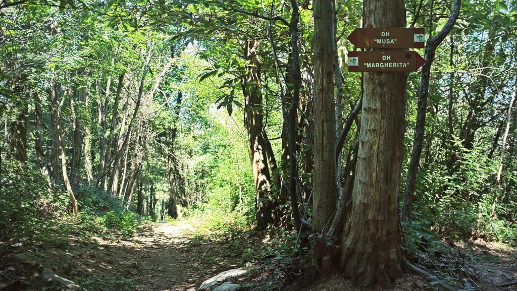  Monte Maddalena
