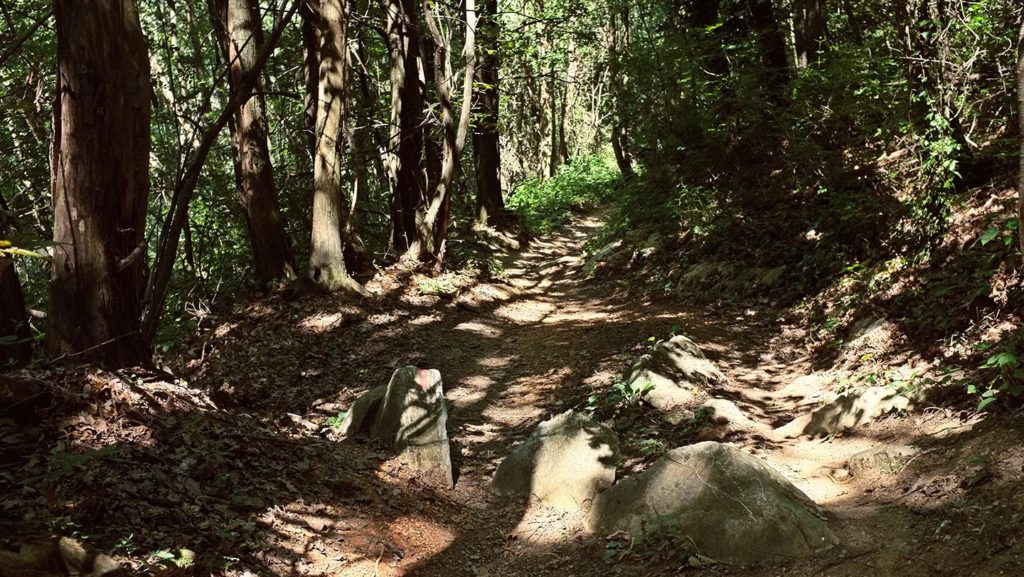  Monte Maddalena