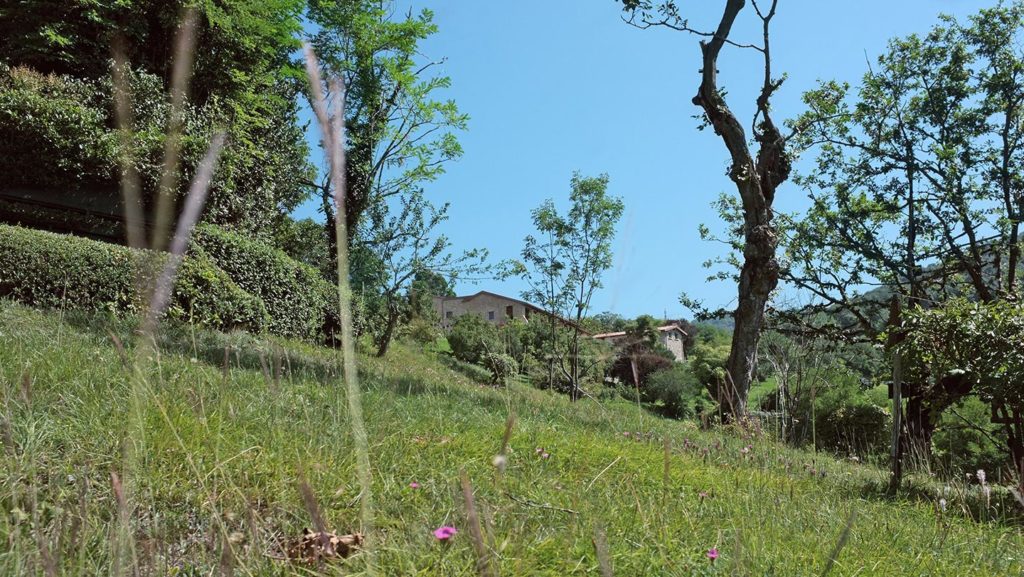  Monte Maddalena