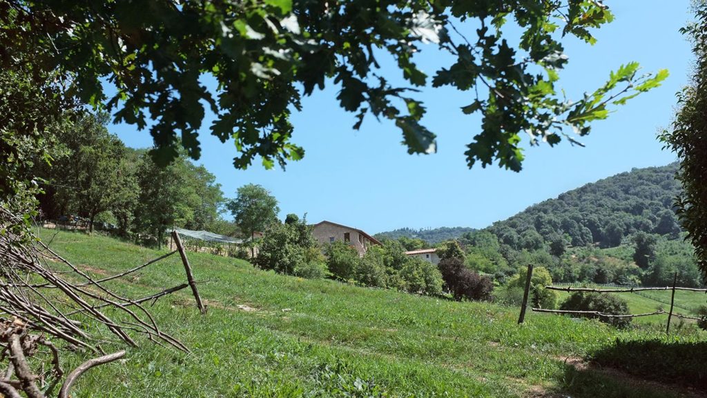  Monte Maddalena