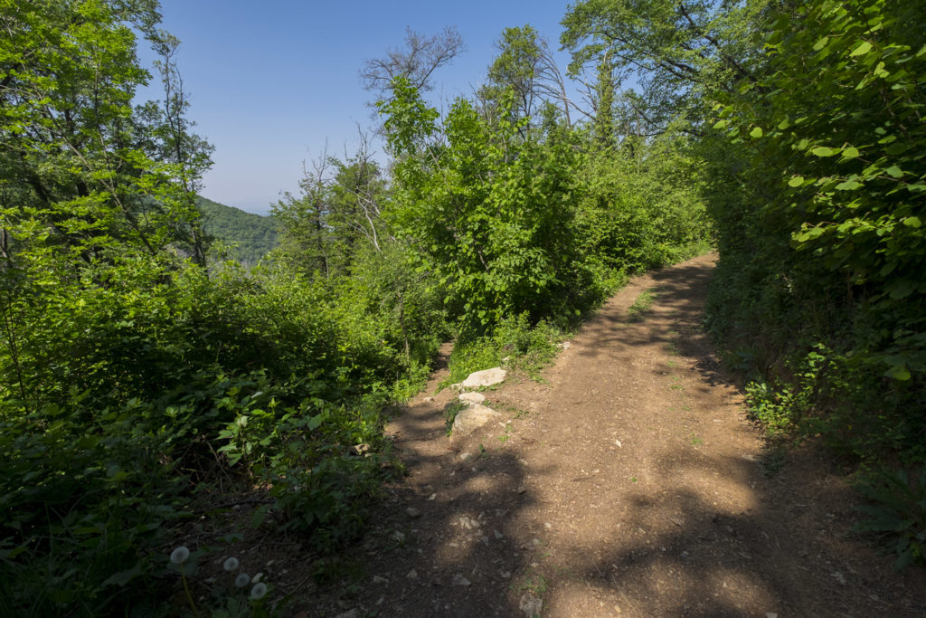 Monte Maddalena