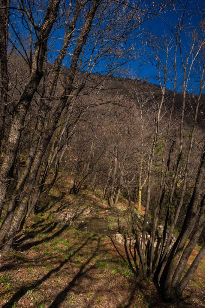  Monte Maddalena